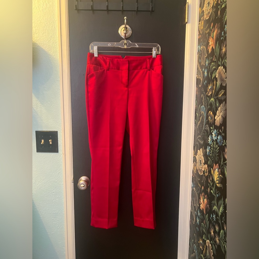 Express Design Studio Editor Pants